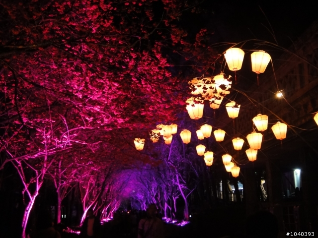 帶著TX9去九族賞櫻～～～～