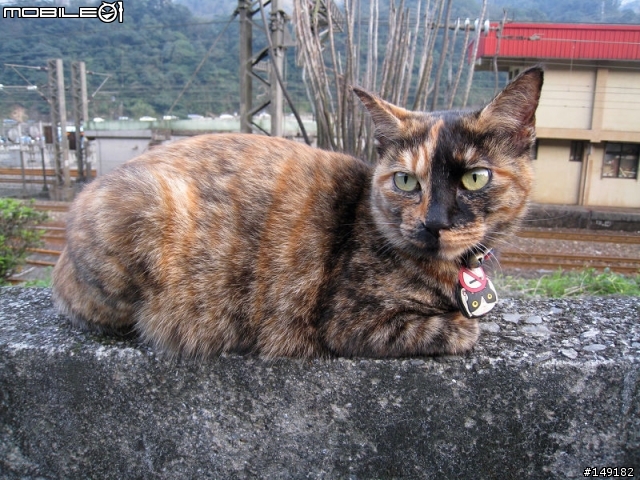 2011春節  猴硐 & 九份一日遊
