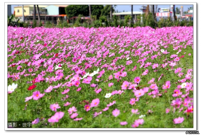 [開箱]CANON 60D