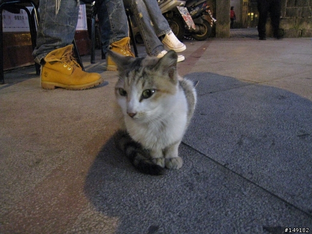 2011春節  猴硐 & 九份一日遊