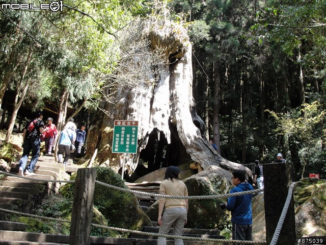 【２０１１年悠活盃】2/27南陌南投杉林溪散步芬多精之旅簽到版