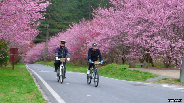 [遊記] 海拔1800M自行車道超感動誌 中橫宜蘭支線~武陵農場單車2日遊(2011.02.21 update)