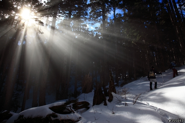 [5D2] 雪山賞雪趣