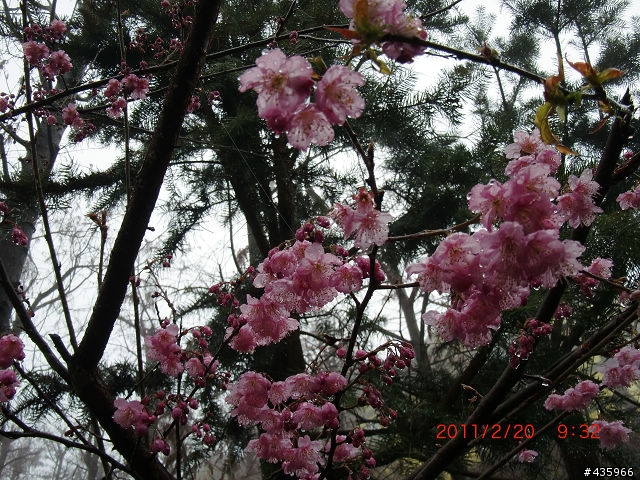 [開箱] 遲來的開箱- CASIO EX-G1 軍裝綠 (純外觀分享) 2/21 新增拍攝照片