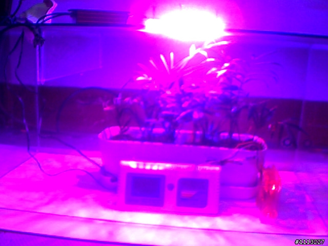 室內植物 與 CO2變化 測試未完成