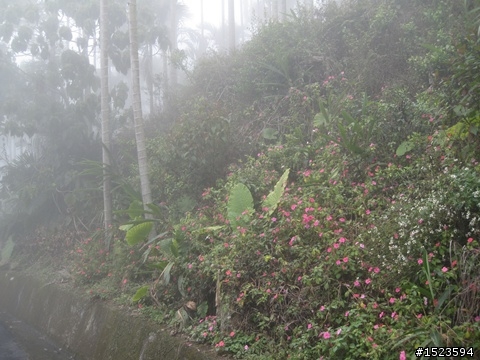 輕騎逍遙山嵐飄邈間 ~ 澐水、中崙溫泉