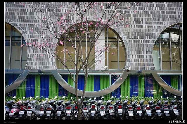 G系列新春花之戀~歡迎大家一起共襄盛舉