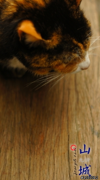 老鏡新拍~Nex3+pentacon50/1.8