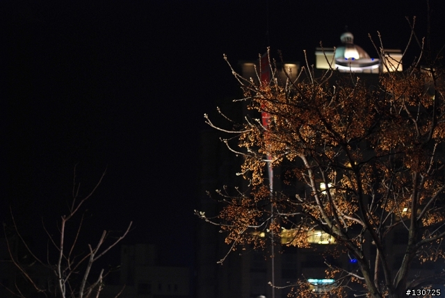 2011桃園燈會 恐龍亮起來 遊記
