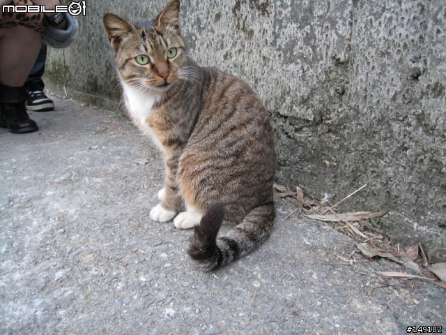 2011春節  猴硐 & 九份一日遊