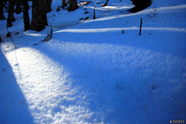[5D2] 雪山賞雪趣