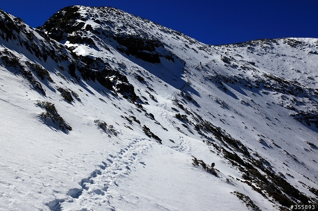 [5D2] 雪山賞雪趣