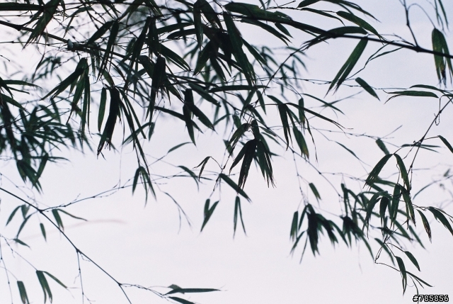 【分享】斗六-大尖山