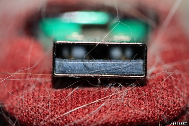 今日入手100MM f2.8L Macro IS USM