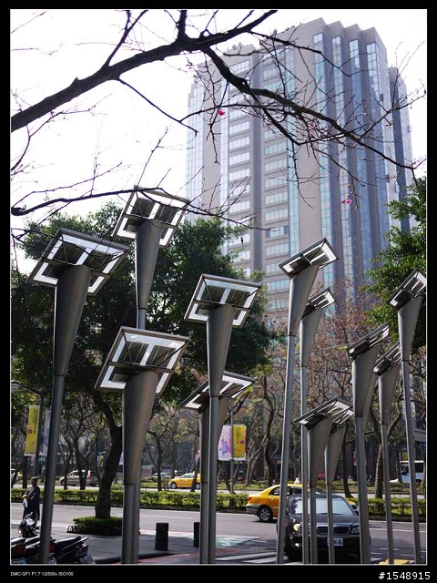G系列新春花之戀~歡迎大家一起共襄盛舉