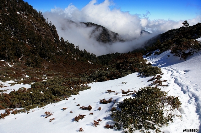 [5D2] 雪山賞雪趣