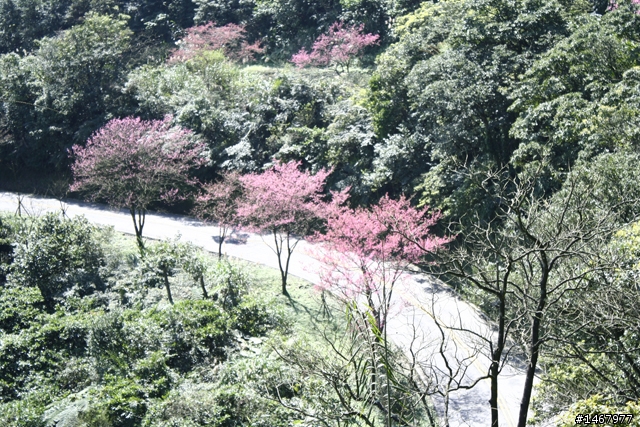 226在北海的道路上和太陽約會