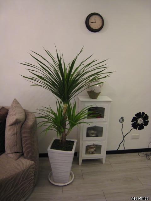 [分享] 現代 極簡 設計感 MY HOME  - COZY & SWEET