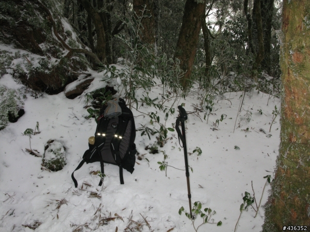 2011 1/16 拉拉山與塔曼山雪景