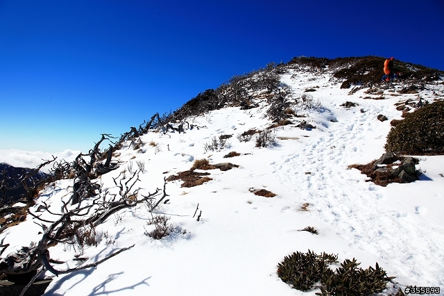 [5D2] 雪山賞雪趣