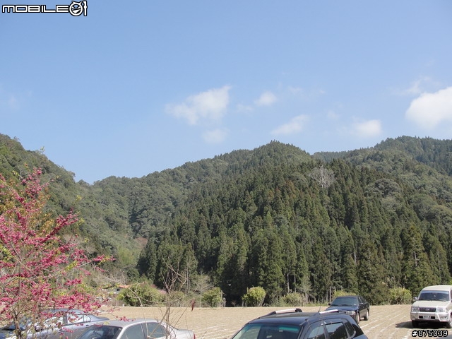 【２０１１年悠活盃】2/27南陌南投杉林溪散步芬多精之旅簽到版