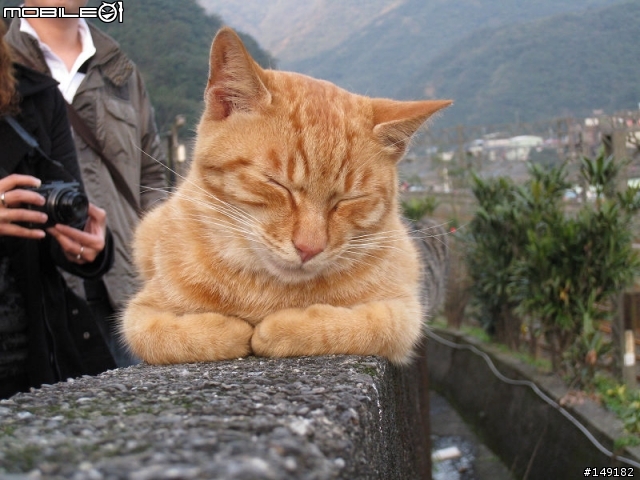 2011春節  猴硐 & 九份一日遊