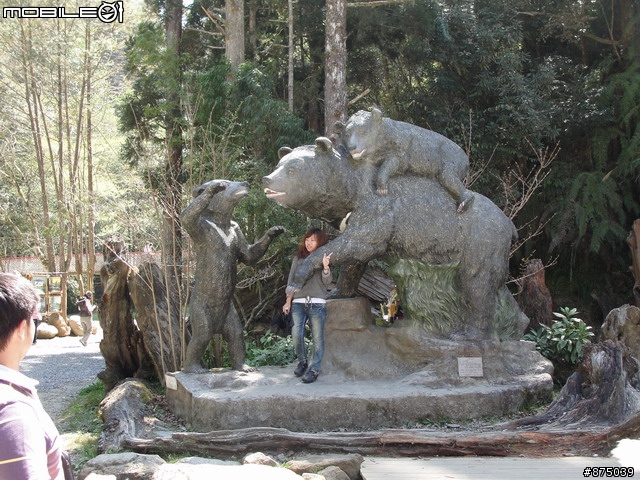 【２０１１年悠活盃】2/27南陌南投杉林溪散步芬多精之旅簽到版