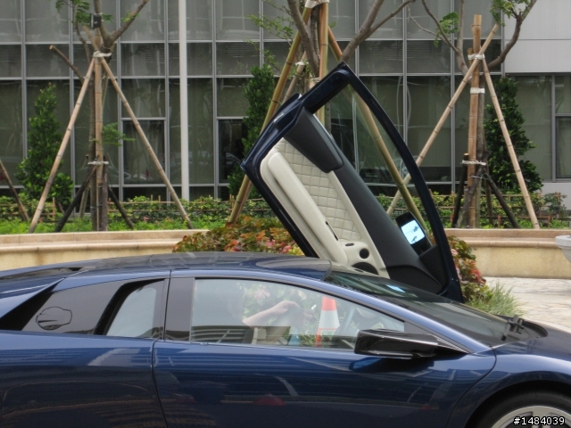 好幾隻牛--Lamborghini