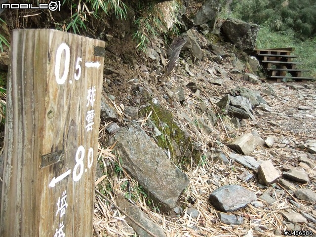 玉山暴走
