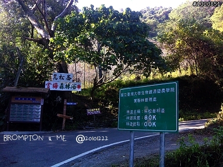 暗香浮動尋梅影