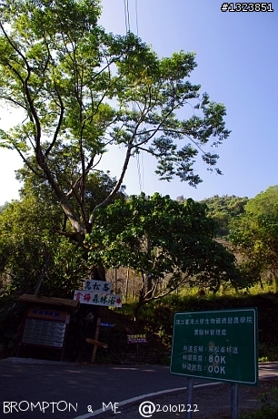 暗香浮動尋梅影