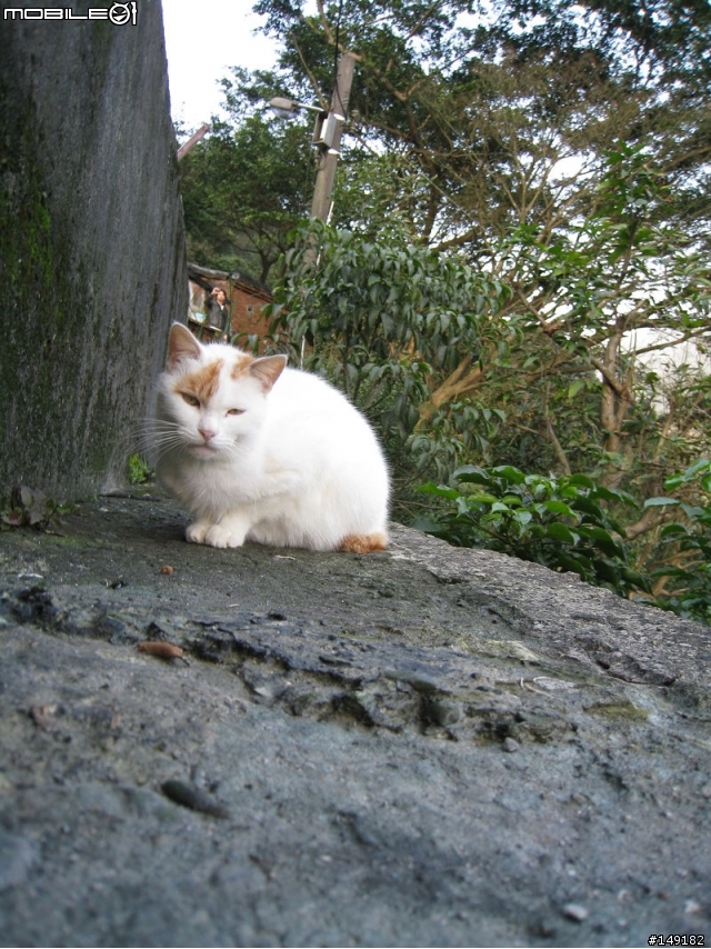 2011春節  猴硐 & 九份一日遊