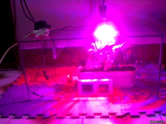室內植物 與 CO2變化 測試未完成
