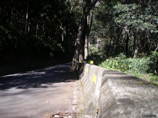 2月6日 北橫去北宜回 小狼單人探路