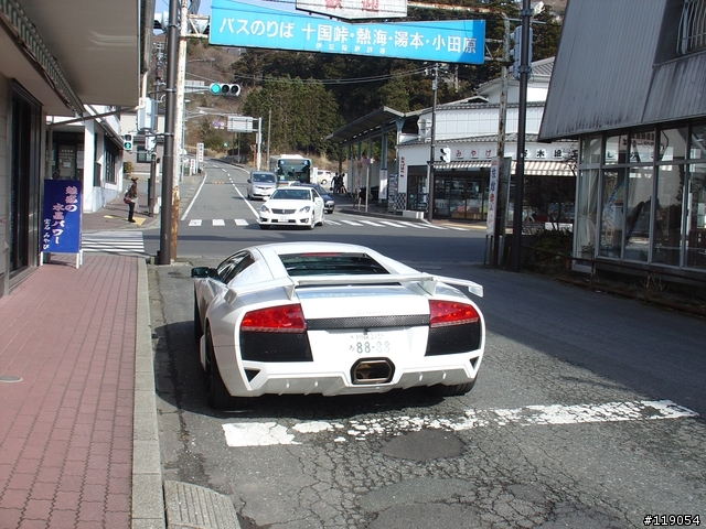 大牛 in 蘆之湖