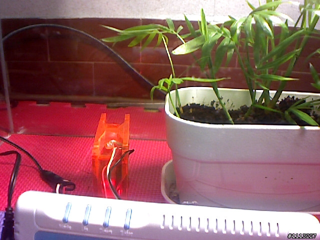 室內植物 與 CO2變化 測試未完成