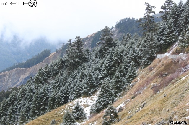 兩天一夜合歡山之見到雪了