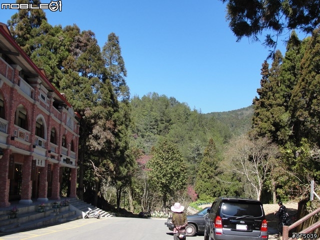 【２０１１年悠活盃】2/27南陌南投杉林溪散步芬多精之旅簽到版