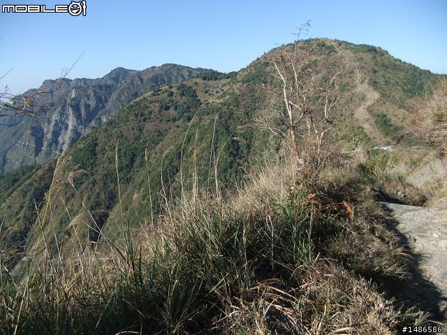 玉山暴走