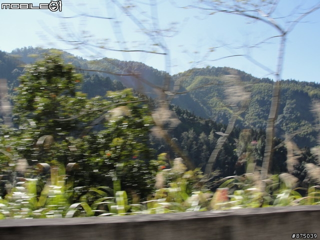 【２０１１年悠活盃】2/27南陌南投杉林溪散步芬多精之旅簽到版