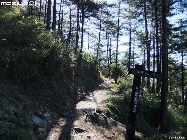 玉山暴走