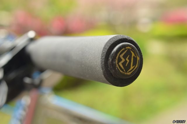 [分享]大輪子給我截然不同的新感受 2011 Giant Anthem X 29er(二奶兒)
