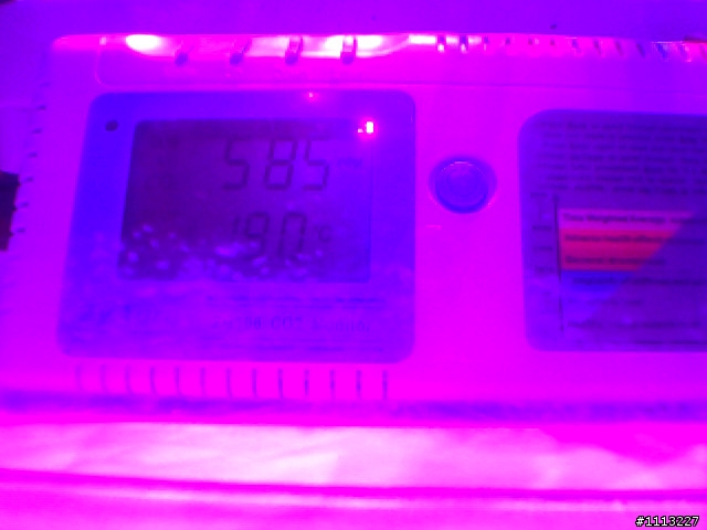 室內植物 與 CO2變化 測試未完成