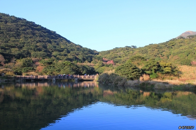 一個人的旅行-550D-Kit18-55 三芝~陽明山-賞櫻花一日遊.