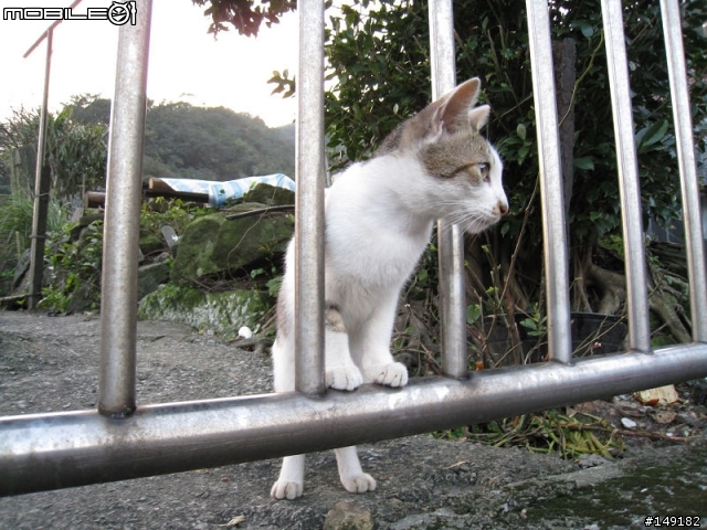 2011春節  猴硐 & 九份一日遊