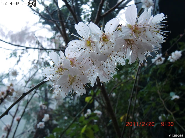 [開箱] 遲來的開箱- CASIO EX-G1 軍裝綠 (純外觀分享) 2/21 新增拍攝照片