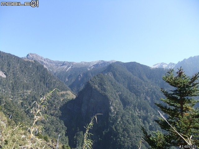 玉山暴走