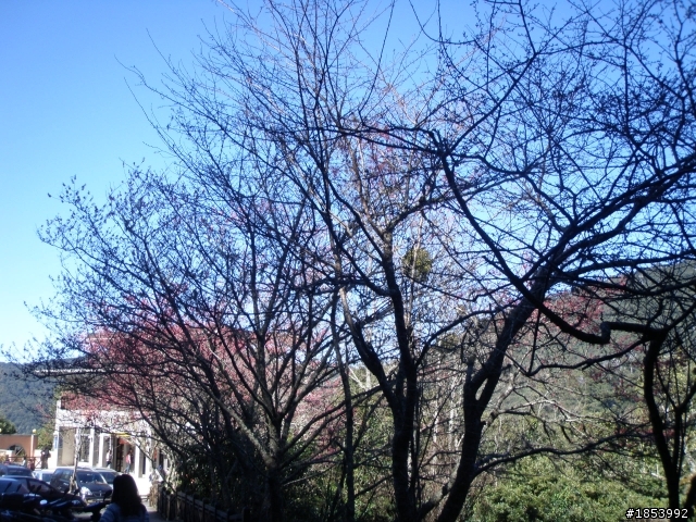 2月6日 北橫去北宜回 小狼單人探路