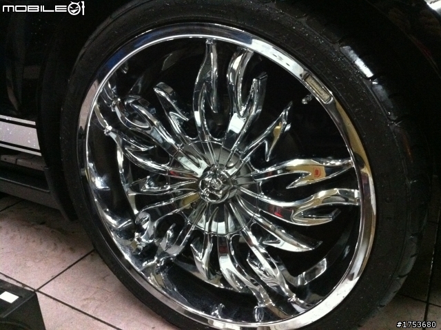 MUSTANG現身