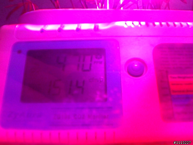 室內植物 與 CO2變化 測試未完成